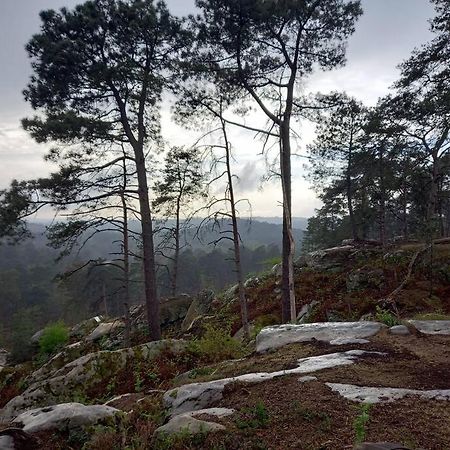 Gite Les Petites Bruyeres Veneux-les-Sablons Экстерьер фото