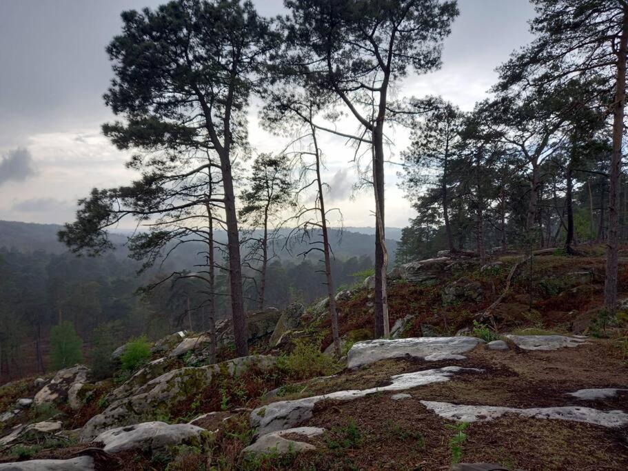 Gite Les Petites Bruyeres Veneux-les-Sablons Экстерьер фото