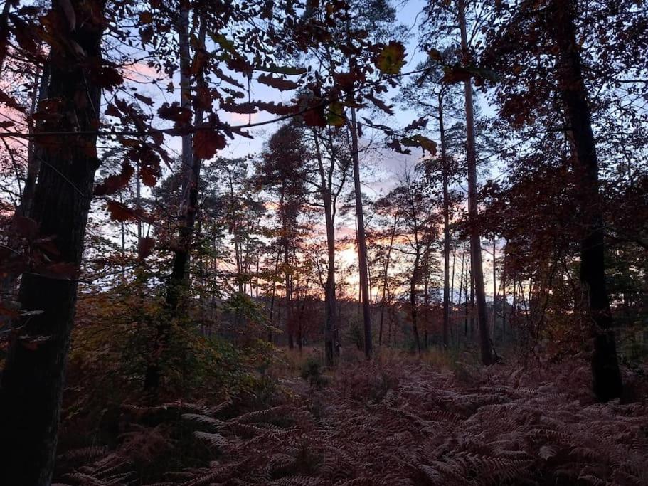 Gite Les Petites Bruyeres Veneux-les-Sablons Экстерьер фото